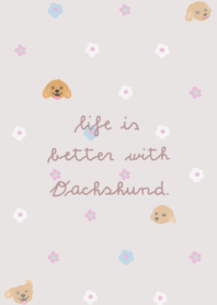 Life is better with Dachshund.