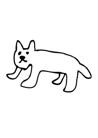 The cat