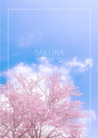 SAKURA / Natural Style