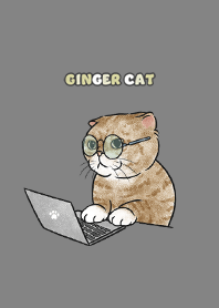 gingercat9 / dark grey .jp