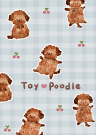 cute love toy poodle13.