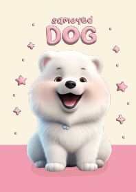 ซามอยด์ หมาขาวน่ารัก
