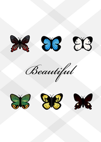 可愛くて魅力的な蝶！（純白）