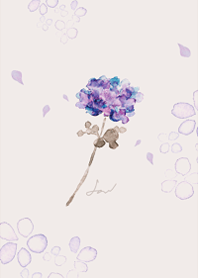 Classical flower.1.