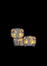 Tortie Fold Cat*darkmode*short-haired*