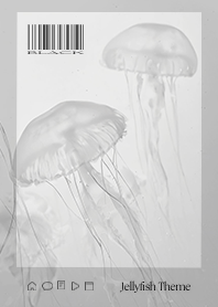 Jellyfish Theme - 006 BK STIC