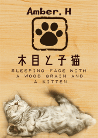 木目と子猫