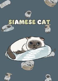 siamesecat7 / dark steel blue