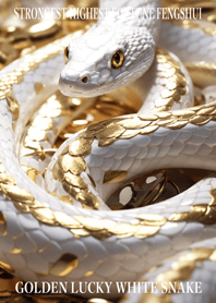 Golden Lucky White Snake 64