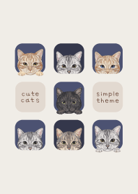 CATS - American Shorthair - NAVY