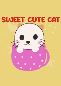 Sweet cute cat