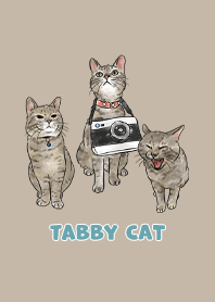 tabbycat11 - dark tan