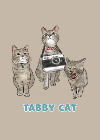 tabbycat11 / dark tan