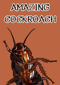 Amazing Cockroach