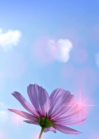 恋愛運上昇 空に漂うハート型の雲 Line 着せかえ Line Store