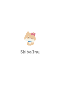 Shiba Inu3 Ribbon - White