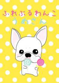 French bulldog wanko Ume