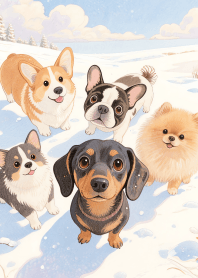 Pretty Small Dog Theme