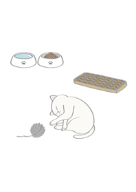 我養的小廢貓(白色貓咪)