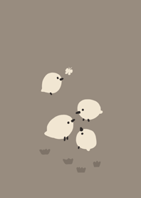 little White birds:life