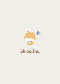 Shiba Inu3 Crystal - Brown