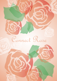 Connect Rose Vol.1