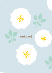 round white flowers leaves18 from Japan