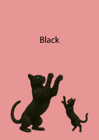 Black Pair04 on light pink