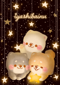 iyashibainu starry night