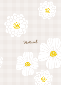 White flower cute22 from Japan