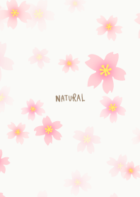 A cherry tree flutters down29 from Japan