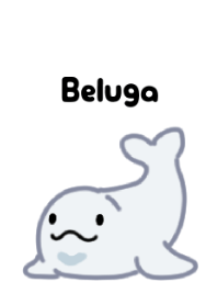 วาฬเบลูกา 3