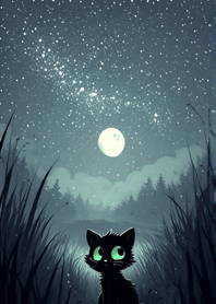 Black cat under the starry sky C26bE2