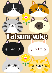 Tatsunosuke Scandinavian cute cat2