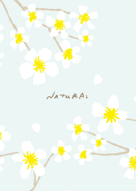 A white flower blooms Blue5 from Japan