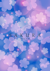 SAKURA 6 -Cherry Blossoms at night-