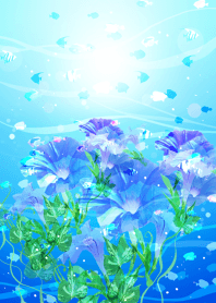 水中あじさいで爽やかに