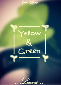Yellow & Green & Leaves(黃金葛)