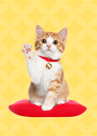 リアル招き猫 -トラ猫ver-