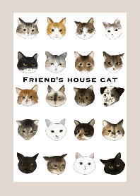 Friend's house cat Theme
