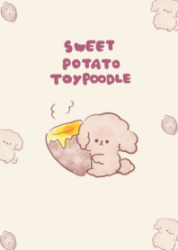 simple sweet potato toy poodle beige.