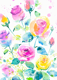 Beautiful rose flower(R4628)