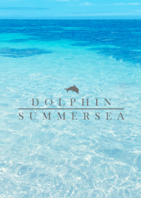 SUMMER SEA 24 -BLUE DOLPHIN-