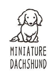 Doodle dog -Miniature Dachshund-