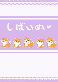 Shiba Inu-Purple (Pur2)