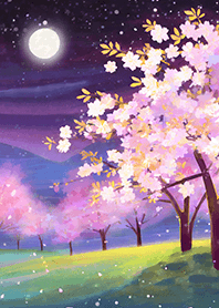 Beautiful night cherry blossoms#751