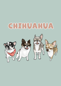 chihuahua3 / mint