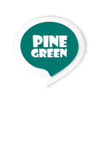 Pine Green Button In White V.3