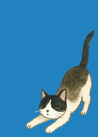tuxedo cat03 on blue
