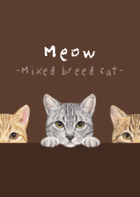 猫 - ミックス 03 - 茶色